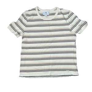 Zine Green & Brown Crop Stripe T-Shirt